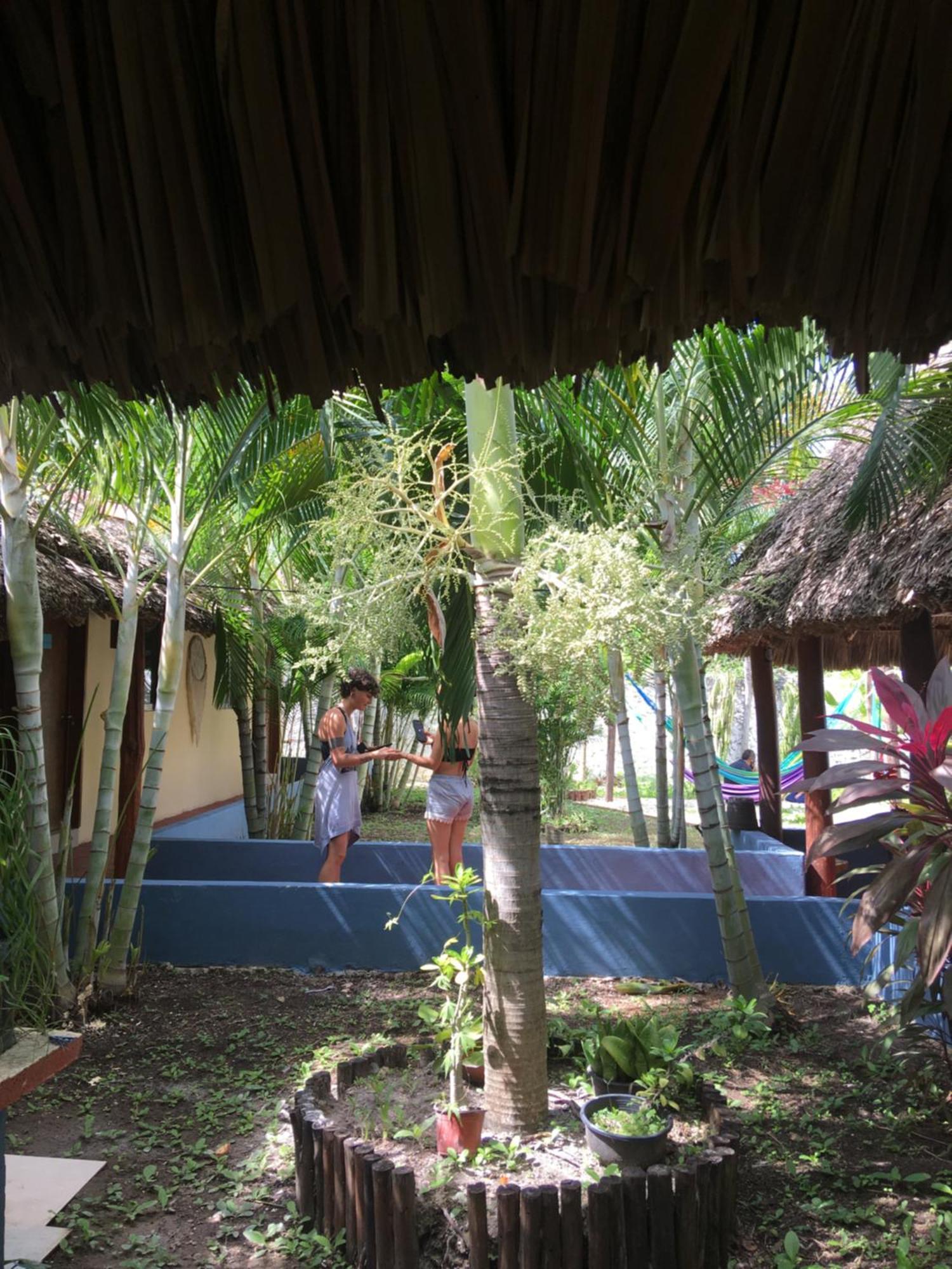 Casa Bokoba Bacalar Hotell Exteriör bild